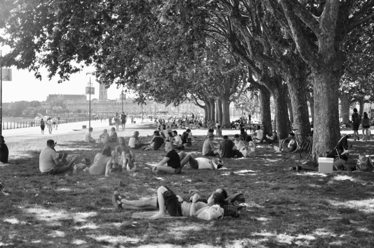 Romance Au Coeur De Bordeaux / Jardin Public Eksteriør billede